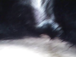 Dogxx