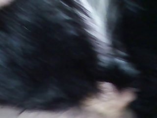 Dogxx