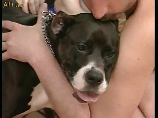 Add2 Pussy Lovin' Pitbull Part 9