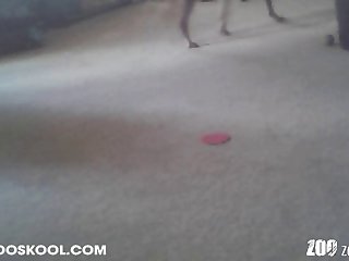 zooia sex  Demon Girl Visit