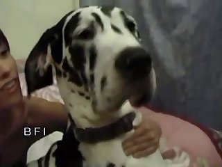 I Love My Three Dogs 006
