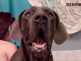 2 Girls Orgy With 3 Dogs 007