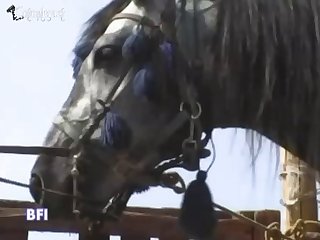 Two Stallions Two Orgasms 001
