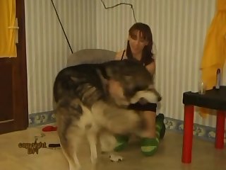 Private Dog Dream 001