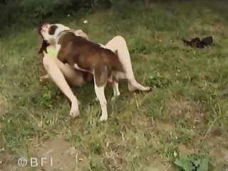 Private Dog Show 011
