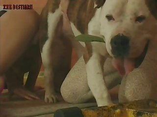 Teenies Pitbull 010
