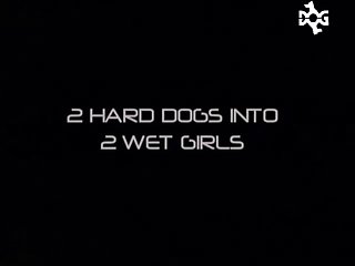 2 Hard Dogs Into 2 Wet Girls 004