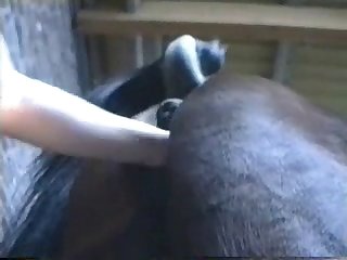 Mare Climax1 Zetatracker