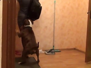 058 Zhd Teamrussia Dog Sex 1 001