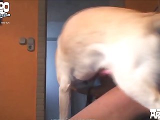 100 Zhd Animal Fuck Girls In Hd 07 002