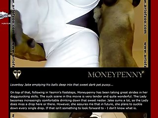 028 Zhd Vanessas Valentine And Dog 006