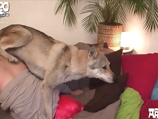014 Zhd Wolf Fairytale 720p 002