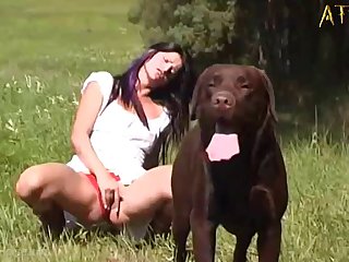 0065 Dgsx Dog Fuck Pretty Girl 002