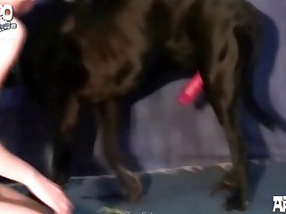 146 Zhd Teeny Super Dog Sex 003