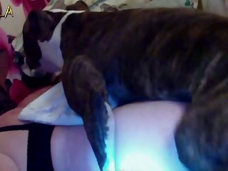 076 Zhd Teamrussia Olga And The Dog 003