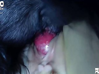 122 Zhd Hd Animalsex 01 002