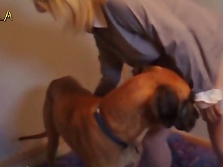 417 Zhd Www.dog Horse.info 002