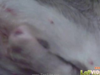 091 Zhd Hd Animalsex 05 003