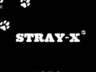 214 Zhd Strayx The Record Part 7 001