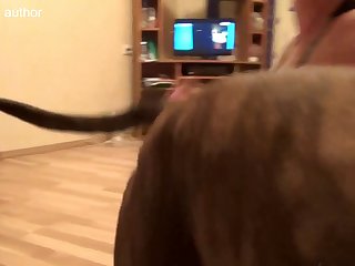 0015 Dgsx Blonde And Dog 002 1