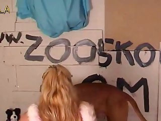 527 Zhd 005