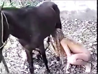 85529 Horsing Around 6 Part 1
