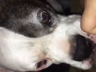 90260 Getting All Up In It