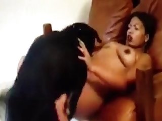 56601 Dog Fucker