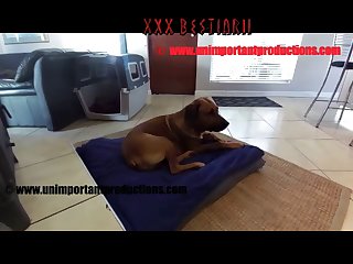 Mr. Unimportant What A Dog Wants 001