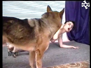Wicked Perfection Feels A  Dog