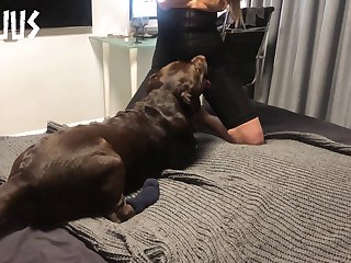 Now It Looked Like It Was About To Burst