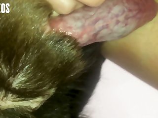 Fuck Me Dog. Fuck Your Bitch