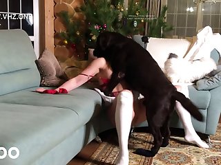 Such A Good Boy My Husband Whispered